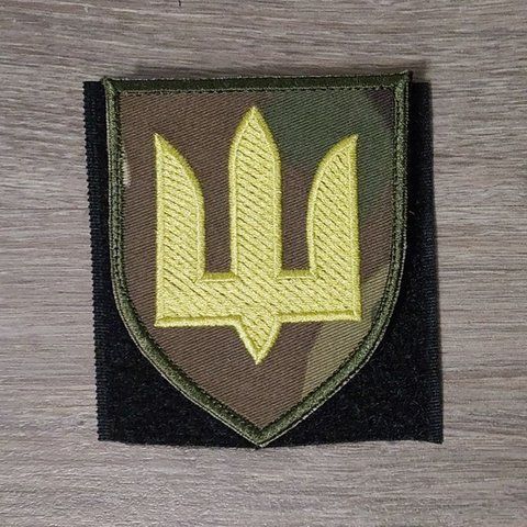 Шеврон Сухопутные войска Украины на мультикаме 12.049 &mdash; шеврон на липучці від VILNI