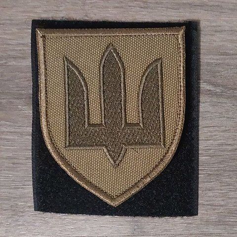 Шеврон Сухопутні війська України на койоті 12.953 &mdash; шеврон на липучці від VILNI