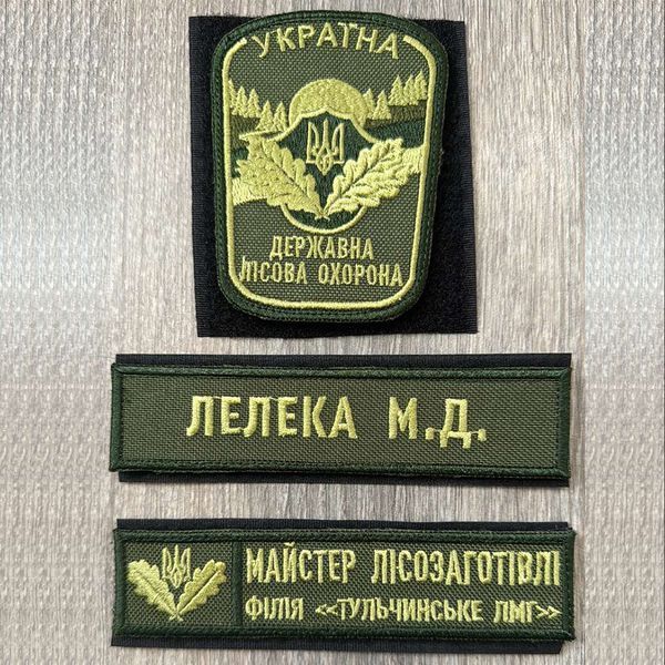 Шеврон Планка Прізвище спеціаліста Державної лісової охорони олива 12.2002 &mdash; шеврон на липучці від VILNI