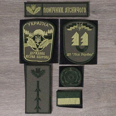 Комплект шевронів Помічника Лісничого Державної лісової охорони олива з кокардою 12.2023 &mdash; шеврон на липучці від VILNI