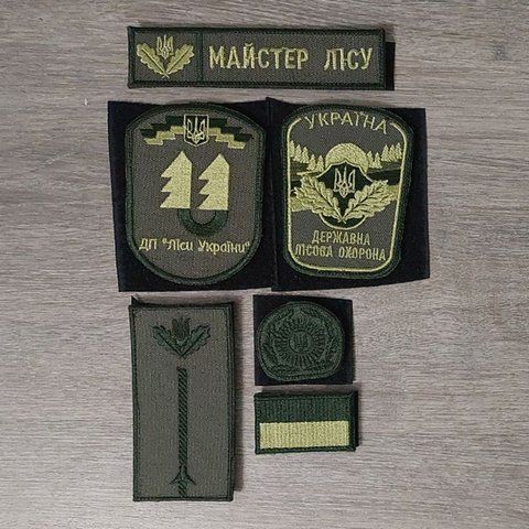 Комплект шевронів Майстра лісу Державної лісової охорони з кокардою олива 12.2018 &mdash; шеврон на липучці від VILNI