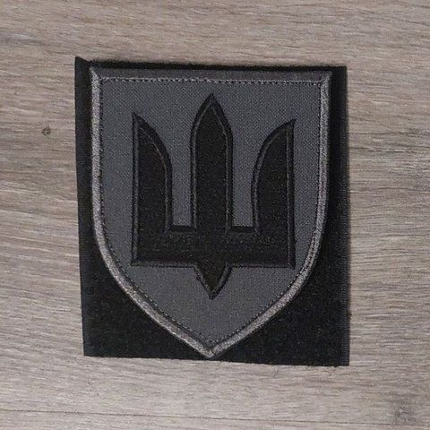 Шеврон Сухопутні війська України на сірому фоні 12.954 &mdash; шеврон на липучці від VILNI
