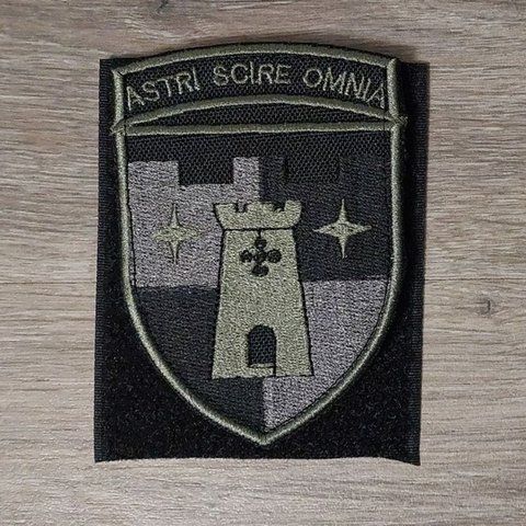 Шеврон 411 ОБАР ТРО ЗСУ, польовий 12.931 &mdash; шеврон на липучці від VILNI