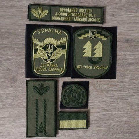 Комплект шевронів Провідного інженера лісового господарства на оливі з кокардою 12.2022 &mdash; шеврон на липучці від VILNI