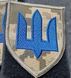 Шеврон Механізовані війська України (оліва, піксель) 12.030 фото 1