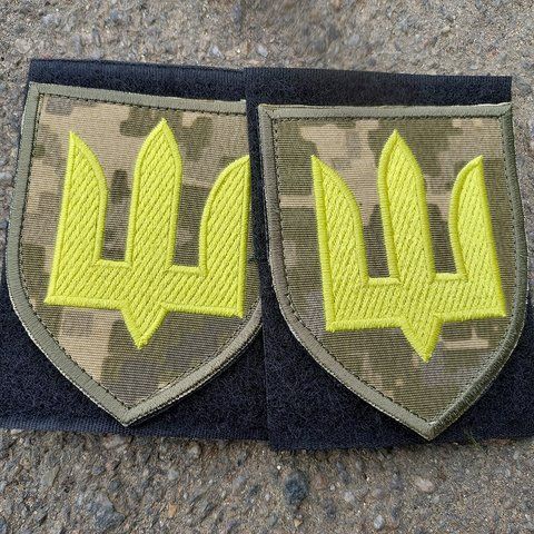 Шеврон Сухопутні війська України, піксель 12.100 &mdash; шеврон на липучці від VILNI